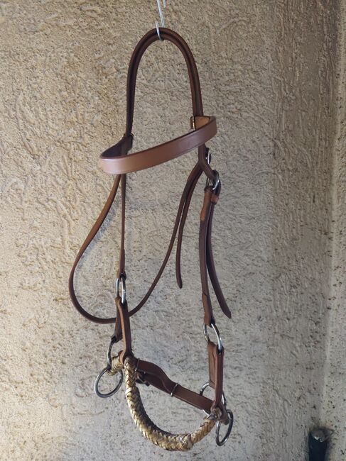 Sidepull Gr. Cob, Almut Stachel , Bitless Bridles, Knittelsheim