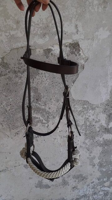 Sidepull in Größe Cob, Ramona Lechner, Bitless Bridles, Furth