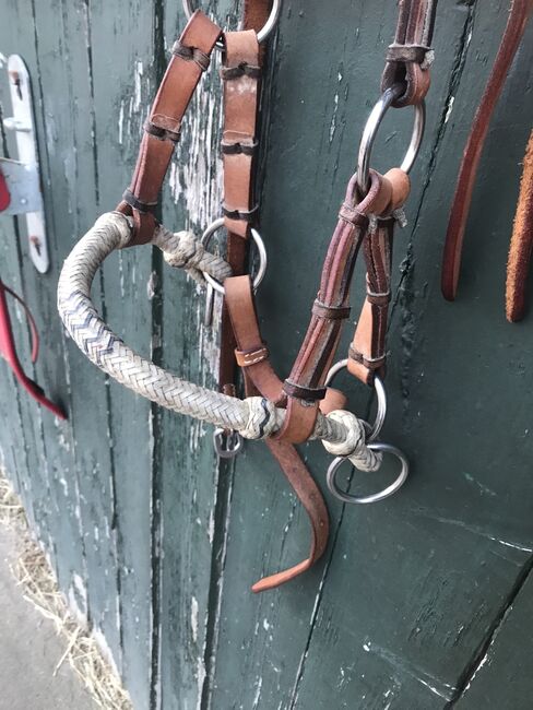 Sidepull Leder Größe cob, Kathrin, Bitless Bridles, Brunsbek , Image 2