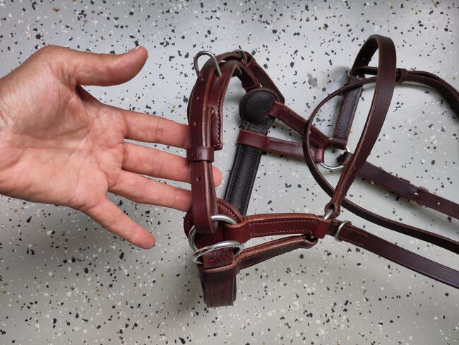 Sidepull Leder rotbraun WB, Bitless bridle Reitershop  Sidepull "Amber" WB rotbraun , Frauke Morgenroth, Bitless Bridles, Norderstedt, Image 7