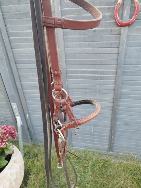 Sidepull Leder, Alina Wendekamm , Bitless Bridles, Trittau 