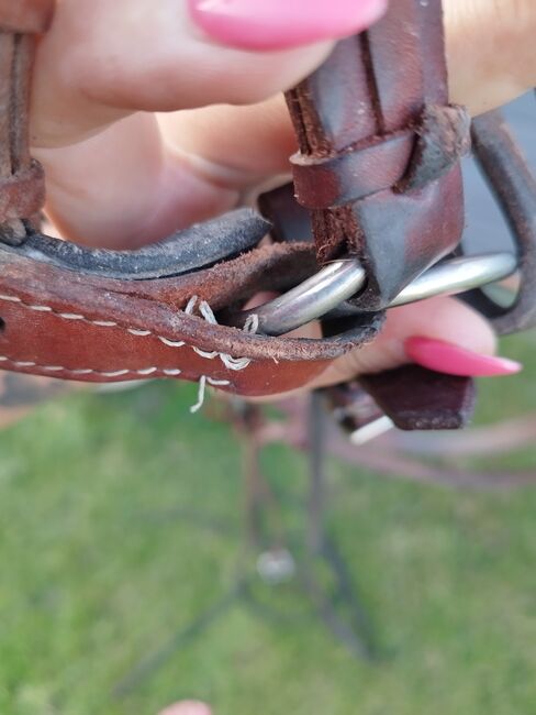 Sidepull Leder, Alina Wendekamm , Bitless Bridles, Trittau , Image 3