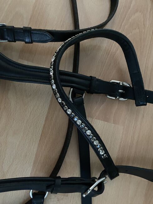 Sidepull Lindel von USG in Cob mit Lederzügeln, USG, Nadja, Bitless Bridles, Müllheim, Image 2