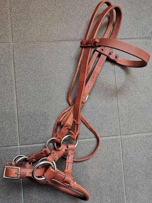 Sidepull aus feinem Harnessleder, Profi Tack Sidepull, Christine Sohr, Bitless Bridles, Köln, Image 2