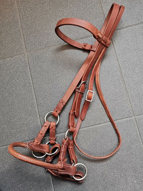 Sidepull aus feinem Harnessleder, Profi Tack Sidepull, Christine Sohr, Bitless Bridles, Köln, Image 4