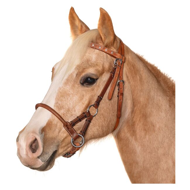 Sidepull mit Zügel, L-pro West , R.S., Bitless Bridles, Jüchen