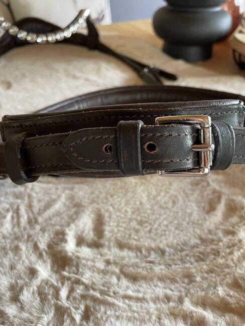 Sidepull mit Glitzerstirnriemen, Katja Limmer, Bitless Bridles, Selb, Image 4