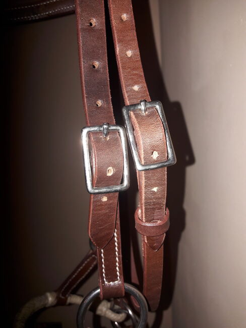 Sidepull Pony, HKM Texas, Sarah Findeisen , Bitless Bridles, Chemnitz, Image 4