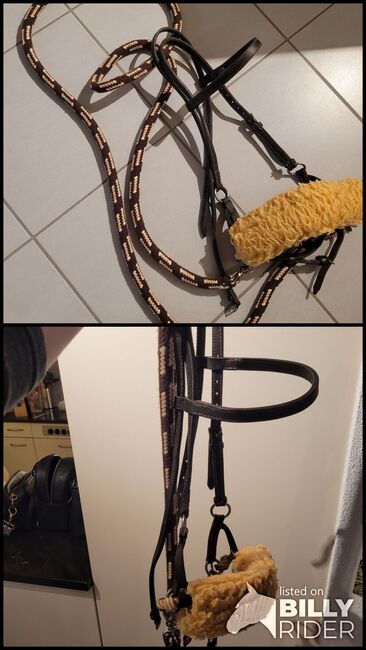 Sidepull Grösse Cob, Fiona Jaquet, Bitless Bridles, Courtaman, Image 3