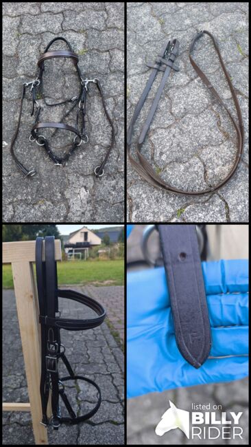 Sidepull von Star Trense, Star, Vivienne Metzger , Gebisslose Zäumungen, Eschwege, Abbildung 7