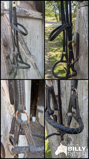 Sidepull schwarz, Duke, Bitless Bridles, Kirchwistedt, Image 5