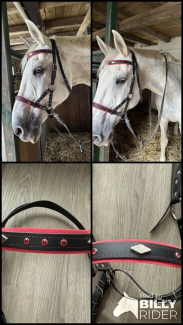 Sidepull WB Biothane, Schneider Paula, Bitless Bridles, Reichenbach im Vogtland, Image 12