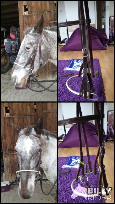 Sidepull Wb, Conny, Bitless Bridles, Image 5