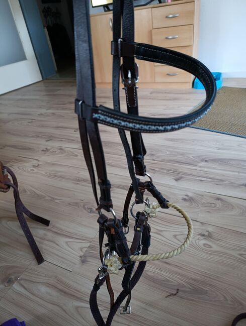 Sidepull Western Echtleder, Christine Lerchenmüller , Bitless Bridles, Erkheim