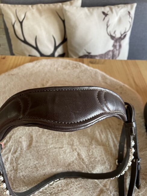 Sidepull mit Glitzerstirnriemen, Katja Limmer, Bitless Bridles, Selb, Image 3