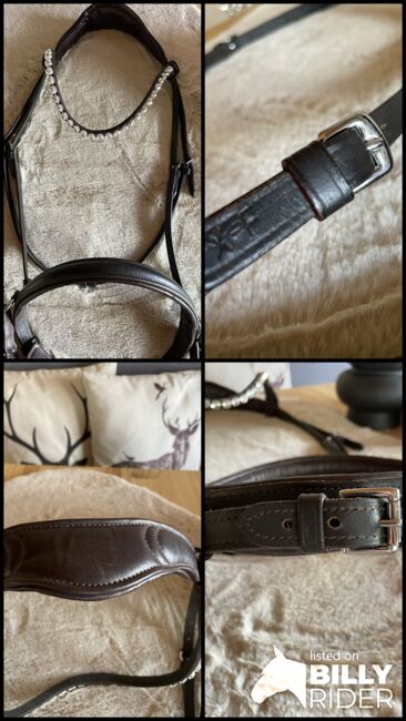 Sidepull mit Glitzerstirnriemen, Katja Limmer, Bitless Bridles, Selb, Image 8
