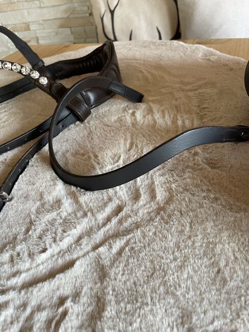 Sidepull mit Glitzerstirnriemen, Katja Limmer, Bitless Bridles, Selb, Image 6