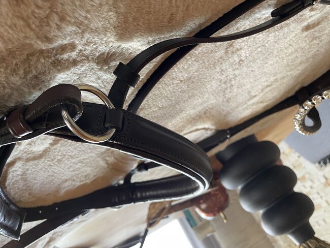 Sidepull mit Glitzerstirnriemen, Katja Limmer, Bitless Bridles, Selb, Image 2