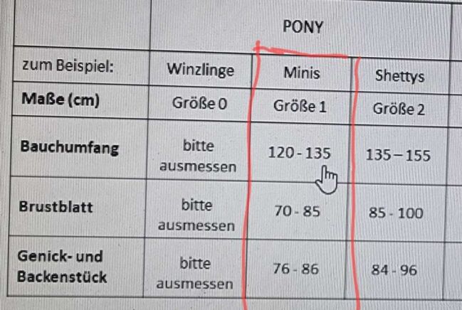 Sieltec Zweispännergeschirr PLUS komplett Größe 1 Shetty, Sieltec Zweispännergeschirr PLUS, Gaby S., Horse Harness, Wien, Liesing, Image 4