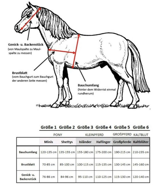 Sieltec Einspännergeschirr Gr.4, Sieltec  PUR Komplett, Julia Haag, Horse Harness, Kernen, Image 2