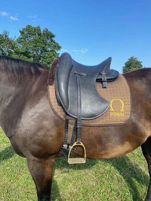 Signum Mercedes Sattel, Signum Sattel Mercedes, Anja Woog, Dressage Saddle, Oppenheim, Image 2