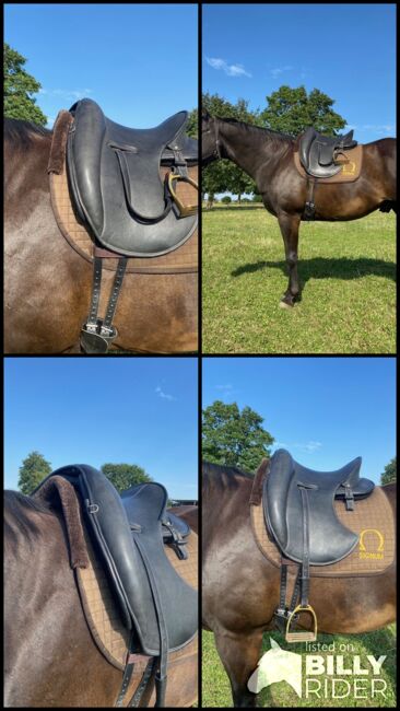 Signum Mercedes Sattel, Signum Sattel Mercedes, Anja Woog, Dressage Saddle, Oppenheim, Image 8