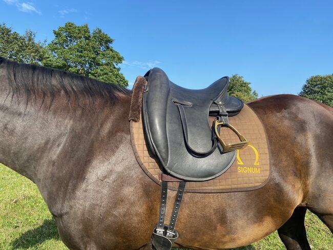 Signum Mercedes Sattel, Signum Sattel Mercedes, Anja Woog, Dressage Saddle, Oppenheim