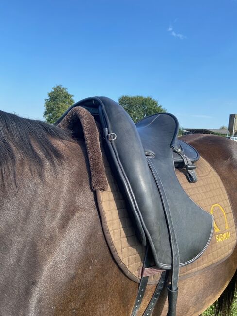 Signum Mercedes Sattel, Signum Sattel Mercedes, Anja Woog, Dressage Saddle, Oppenheim, Image 3