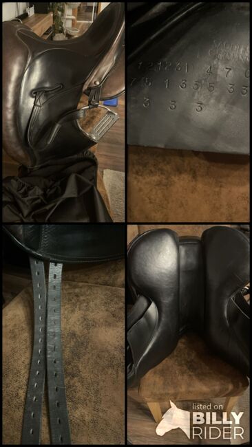 Signum Omega Mercedes, Signum Mercedes, Saskia Rauser, All Purpose Saddle, Sigmaringen, Image 5