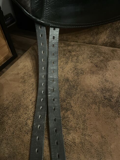 Signum Omega Mercedes, Signum Mercedes, Saskia Rauser, All Purpose Saddle, Sigmaringen, Image 4