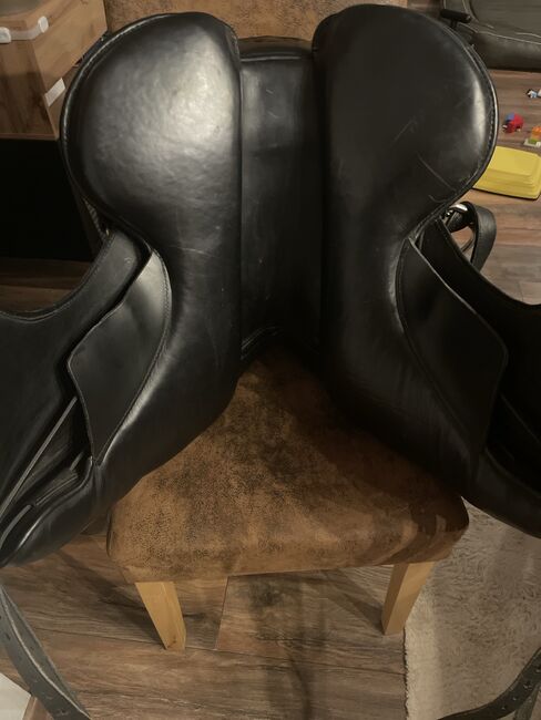 Signum Omega Mercedes, Signum Mercedes, Saskia Rauser, All Purpose Saddle, Sigmaringen, Image 2