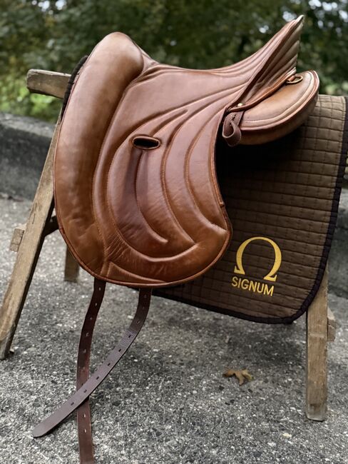 Signum Omega Mercedes mit Lotus Sattelblätter, Signum Mercedes, Danni, Endurance Saddle, Bieberehren, Image 2