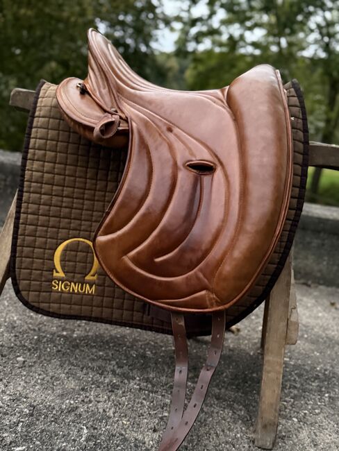Signum Omega Mercedes mit Lotus Sattelblätter, Signum Mercedes, Danni, Endurance Saddle, Bieberehren, Image 10