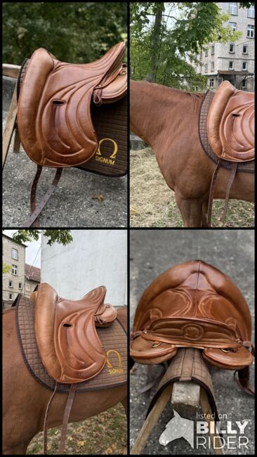 Signum Omega Mercedes mit Lotus Sattelblätter, Signum Mercedes, Danni, Endurance Saddle, Bieberehren, Image 11
