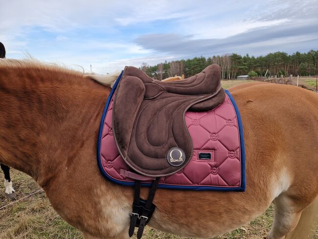 Signum paddle L, Signum , Franziska , Dressage Saddle, Dreetz