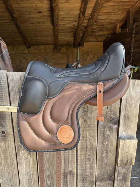 Signum Paddle Sonderanfertigung Gr. L, Signum Worker Paddle, Laura Steinbach , Treeless Saddle, Bad Münstereifel, Image 2