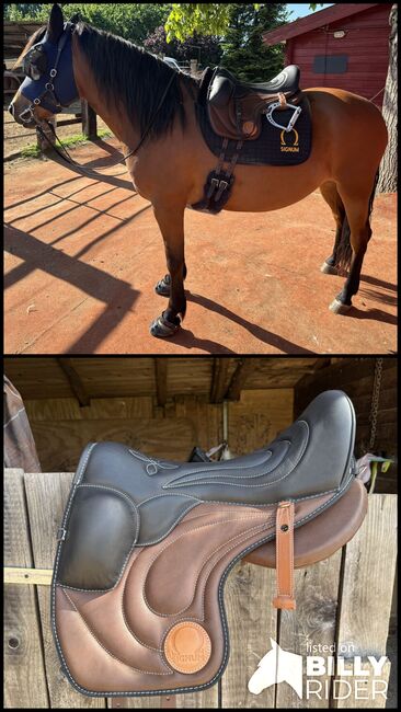 Signum Paddle Sonderanfertigung Gr. L, Signum Worker Paddle, Laura Steinbach , Treeless Saddle, Bad Münstereifel, Image 3