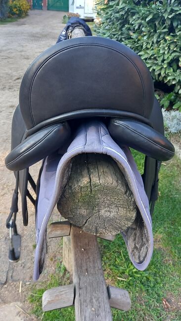 Signum Piaffe, Signum  Piaffe, Sandra, Dressage Saddle, Hoppegarten , Image 5