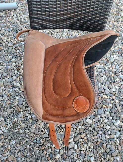 Signum Reitpad Freedom Größe M 60cm Sattelgurt, Signum Omega  Freedom, Jacqueline , Reitpad, Mogendorf, Abbildung 3