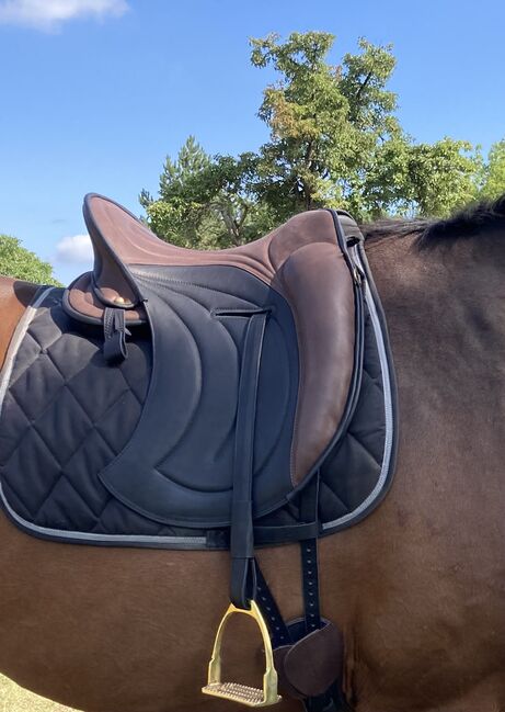 Signum Sattel / neuwertig, Signum , Lena, Baroque Saddle, Osterburg 