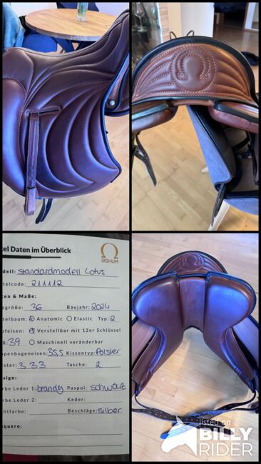 Signum Sattel Lotus brandy, Signum Lotus, Jennifer , Lambskin Pad, Bissingen an der Teck, Image 7