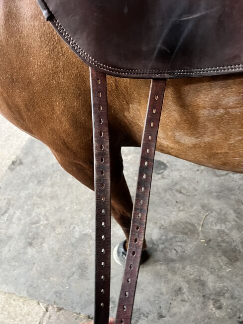 Signum Sattel Rose 17,5“, Signum Rose , Nadine Wenning , Other Saddle, Nordhorn, Image 4