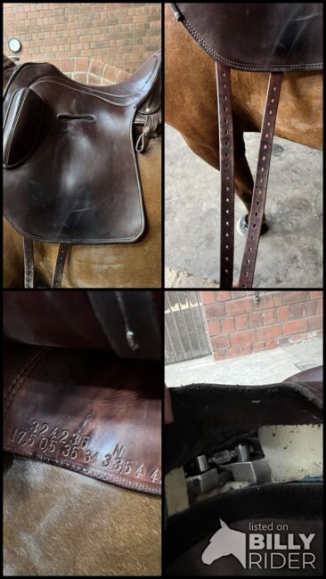 Signum Sattel Rose 17,5“, Signum Rose , Nadine Wenning , Other Saddle, Nordhorn, Image 7