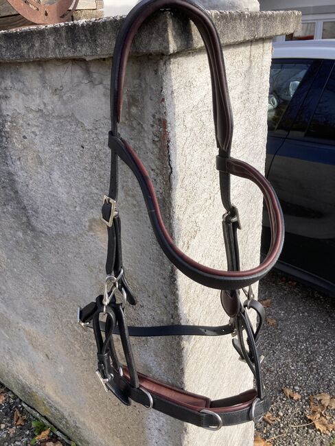 Signum Sidepull Gr. XL, Signum  Sidepull , Kathi, Bitless Bridles, Leopersdorf, Image 4