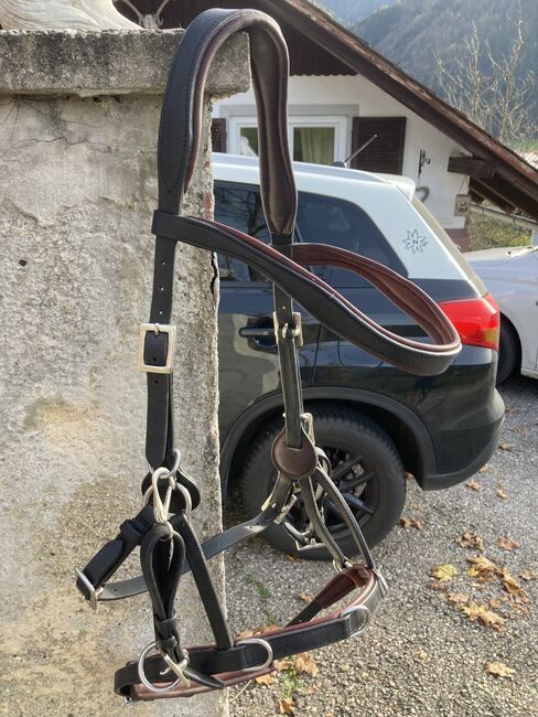 Signum Sidepull Gr. XL, Signum  Sidepull , Kathi, Bitless Bridles, Leopersdorf, Image 5