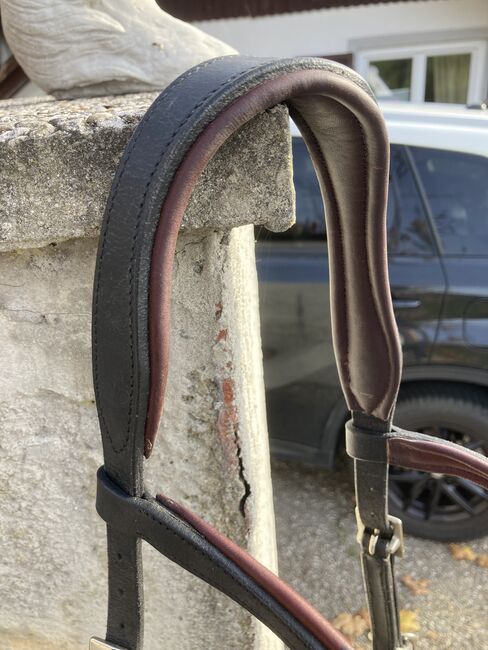 Signum Sidepull Gr. XL, Signum  Sidepull , Kathi, Bitless Bridles, Leopersdorf, Image 2