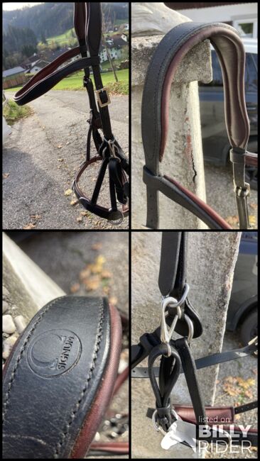 Signum Sidepull Gr. XL, Signum  Sidepull , Kathi, Bitless Bridles, Leopersdorf, Image 8