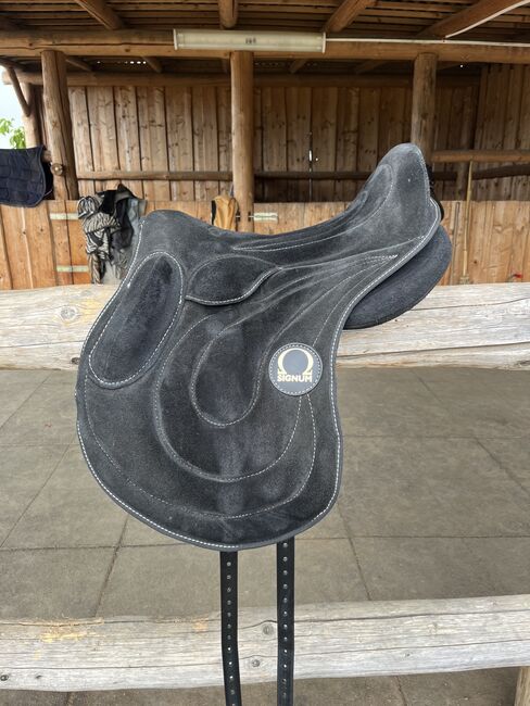 Signum Spring Paddle (jumping), Signum Spring Paddle , Michelle, Treeless Saddle, Svit