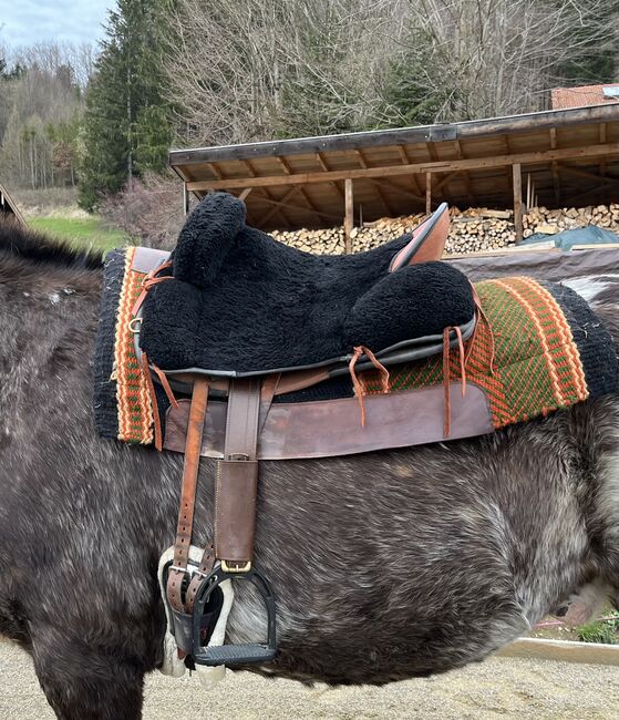 Signum Vaquero, Signum  Vaquero , Marion , Other Saddle, Bergen, Image 2
