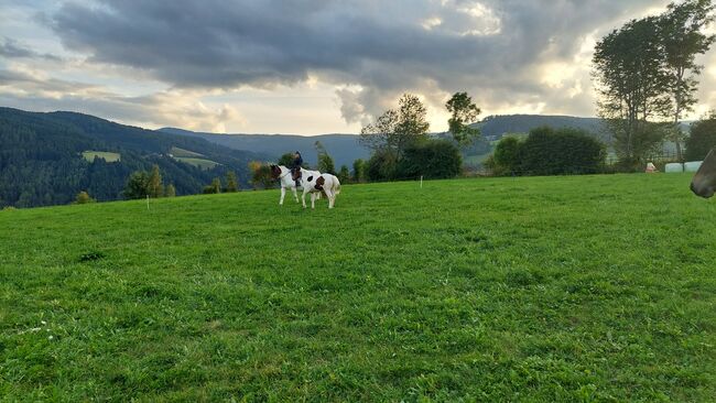 Siloballen, Andrea Uckermann, Heu & Stroh, Reichenfels